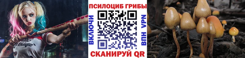 Галлюциногенные грибы Cubensis Костерёво